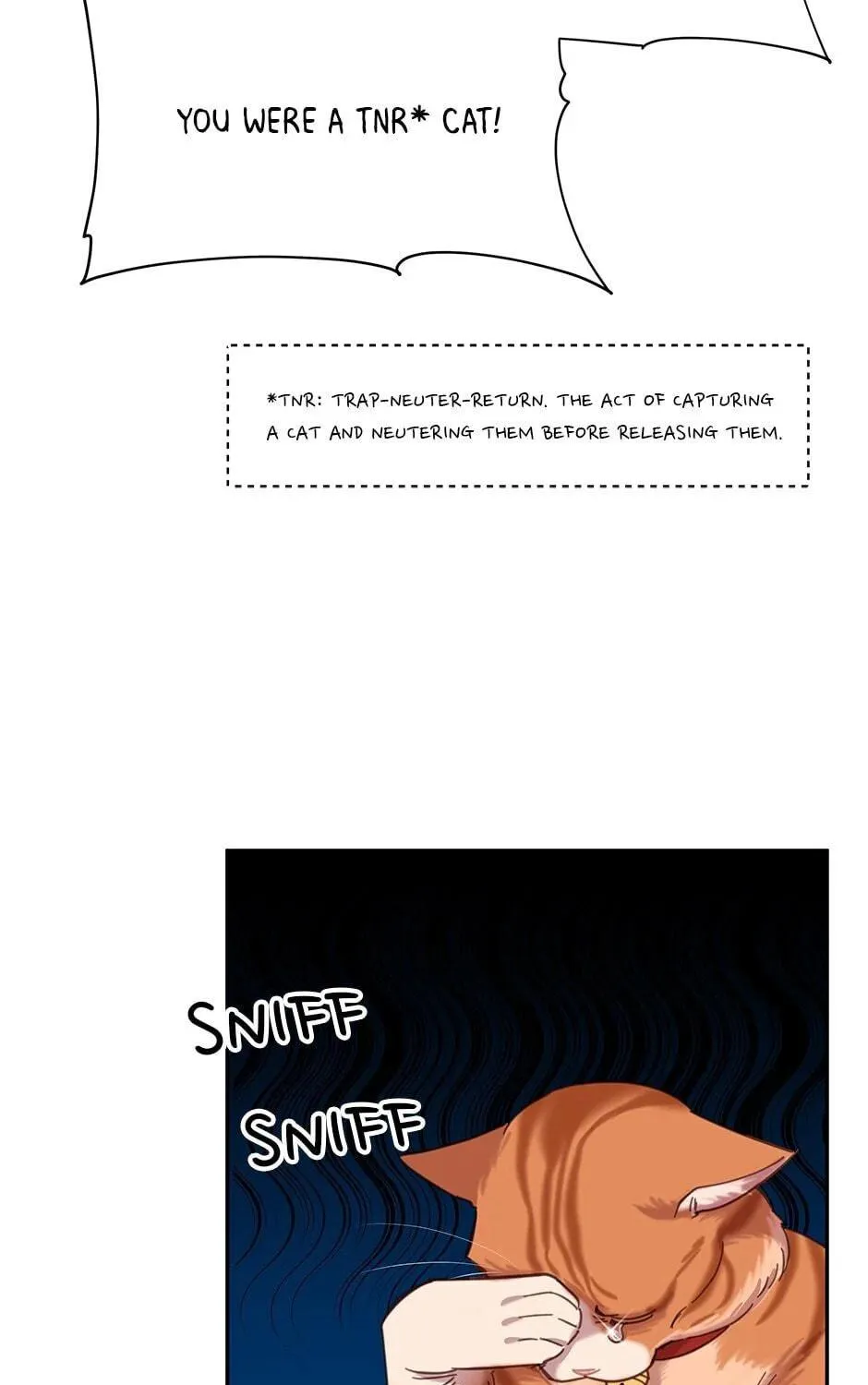 The Legendary Beasts Animal Hospital Chapter 7 page 95 - 