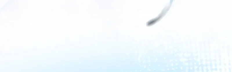 The Legendary Hero is an Academy Honors Student Chapter 12 page 8 - 