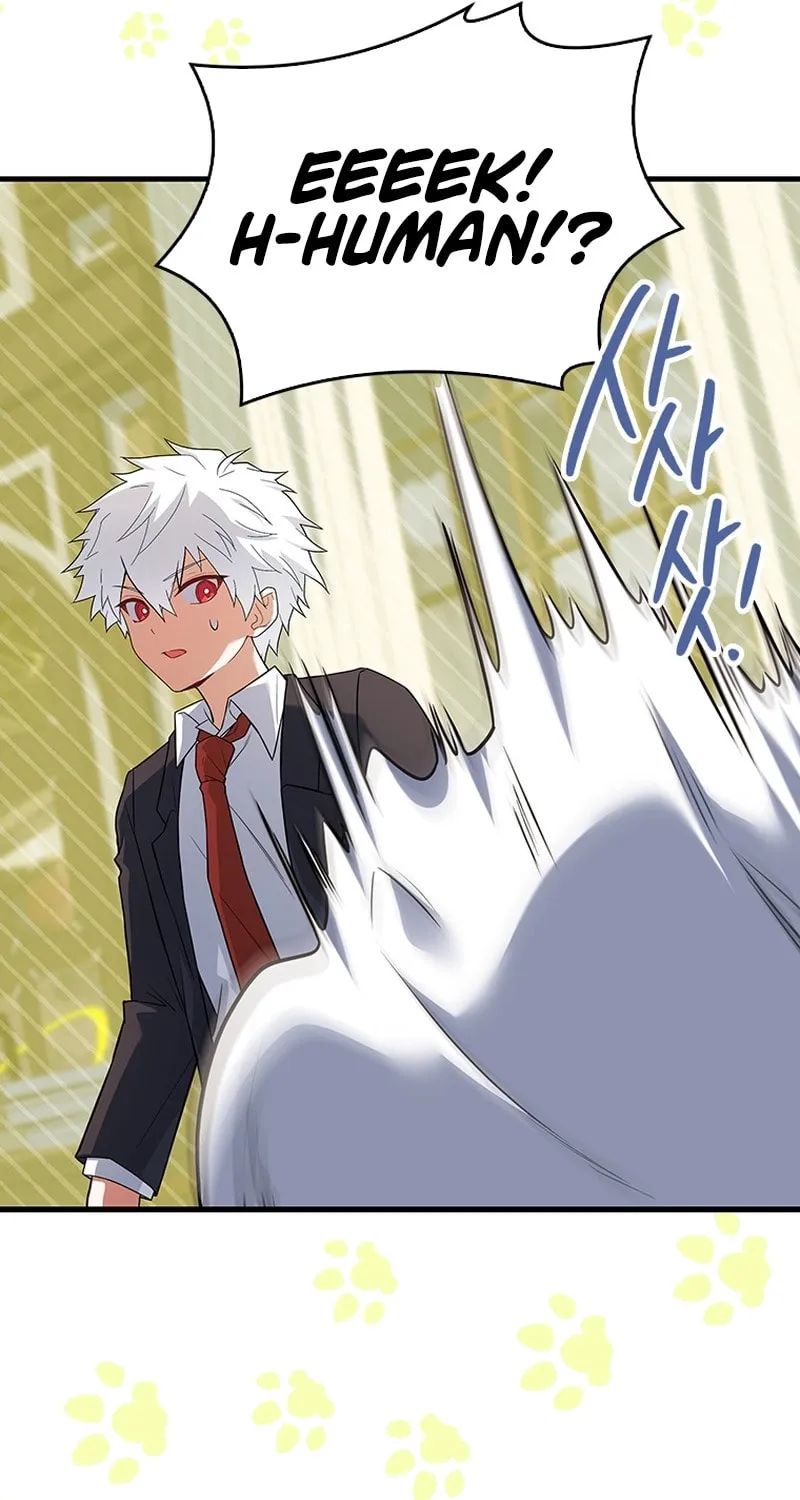 The Legendary Hero is an Academy Honors Student Chapter 39 page 114 - 