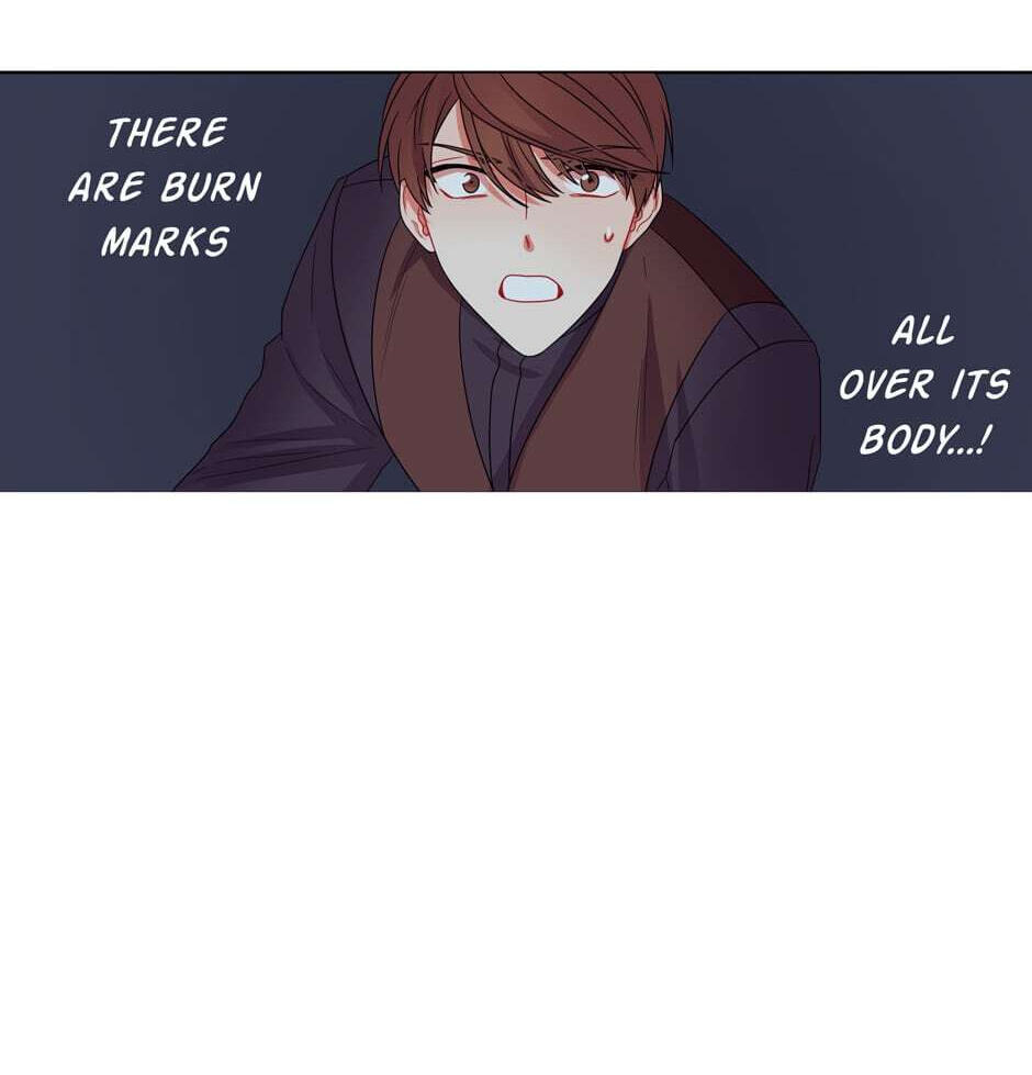 The Librarian of St. Bright Tower Chapter 28 page 97 - 