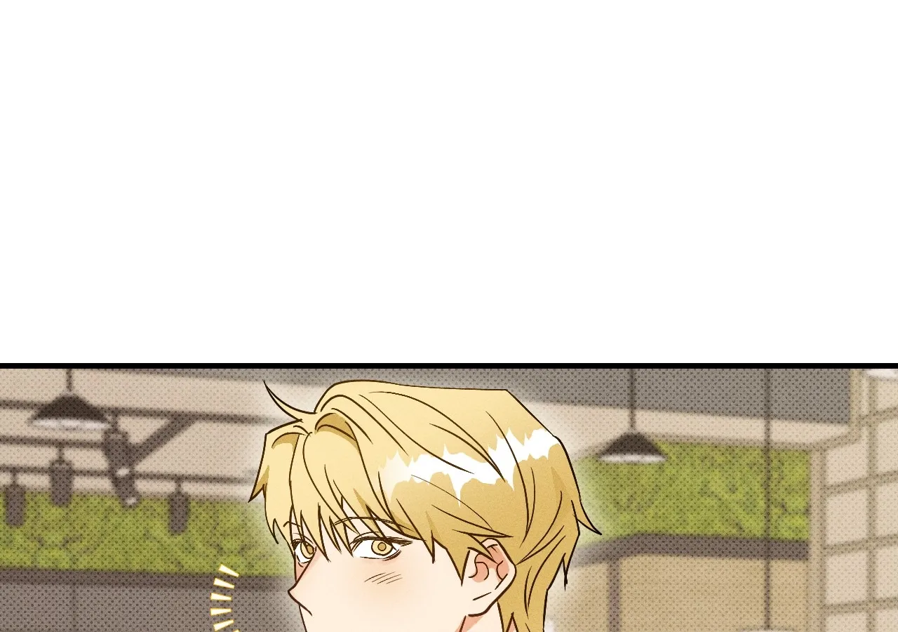 The Light I Give You Chapter 10 page 33 - 
