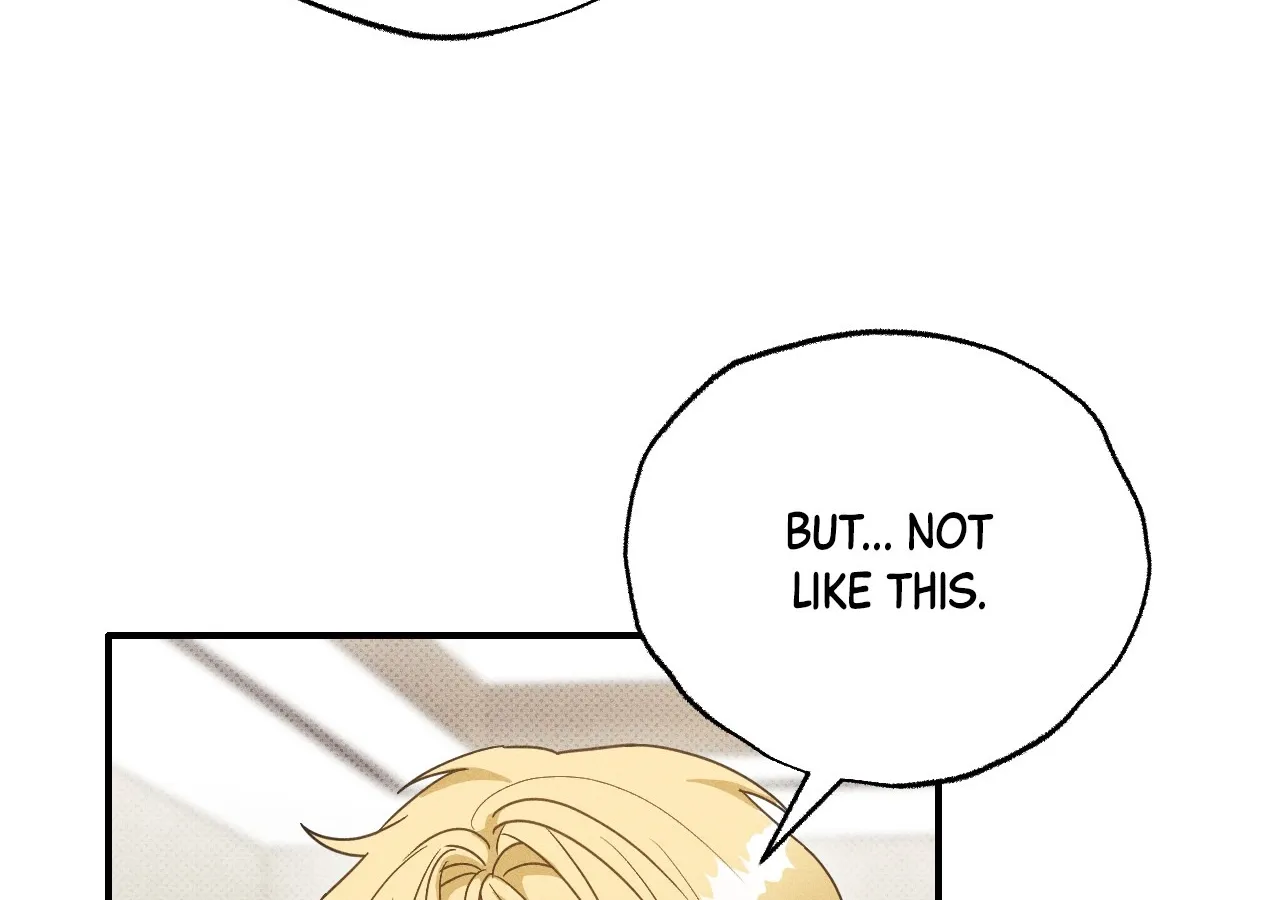 The Light I Give You Chapter 12 page 33 - 