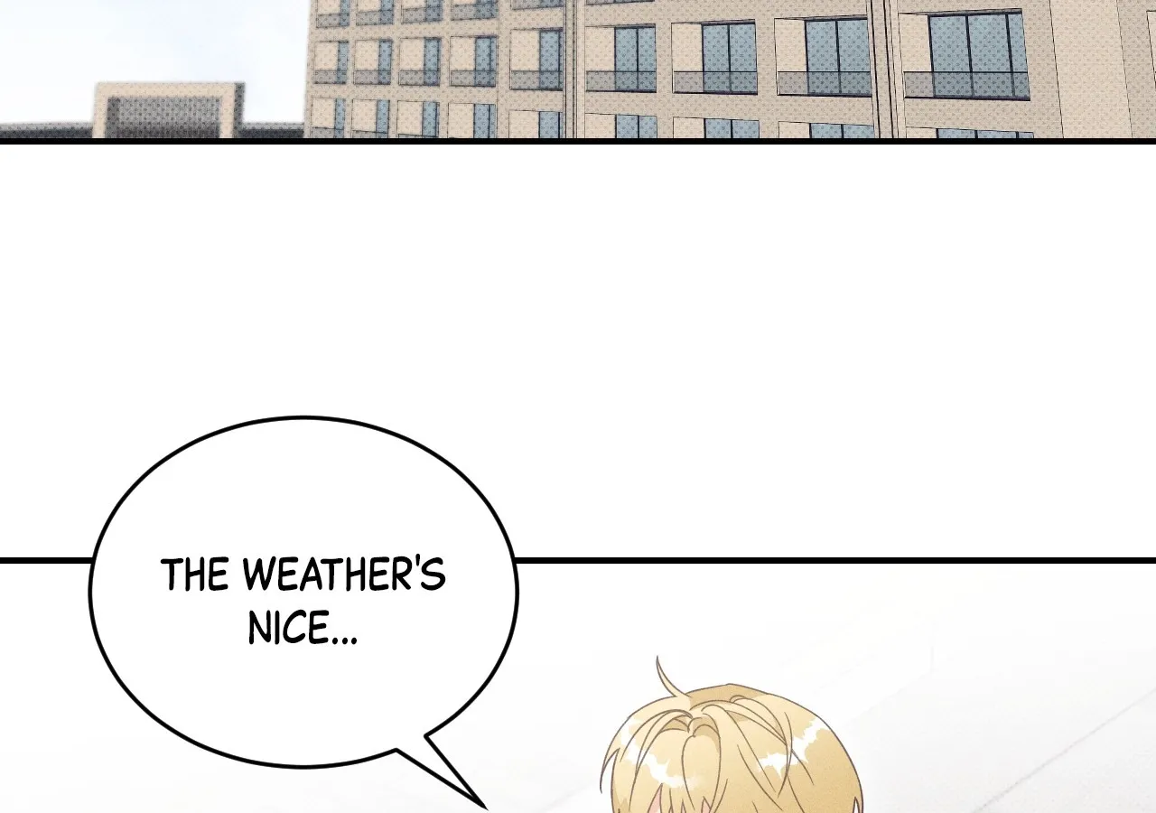 The Light I Give You Chapter 17 page 98 - 