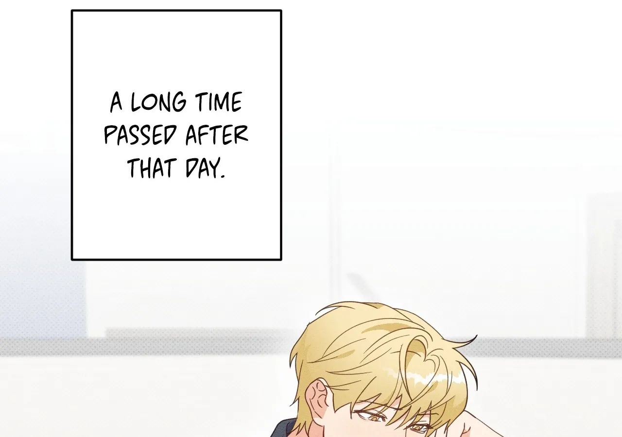 The Light I Give You Chapter 18 page 14 - 
