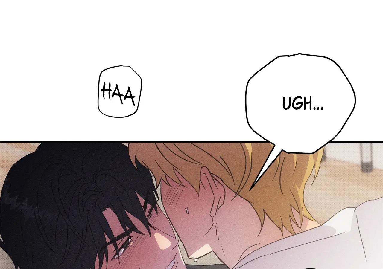 The Light I Give You Chapter 25 page 12 - 