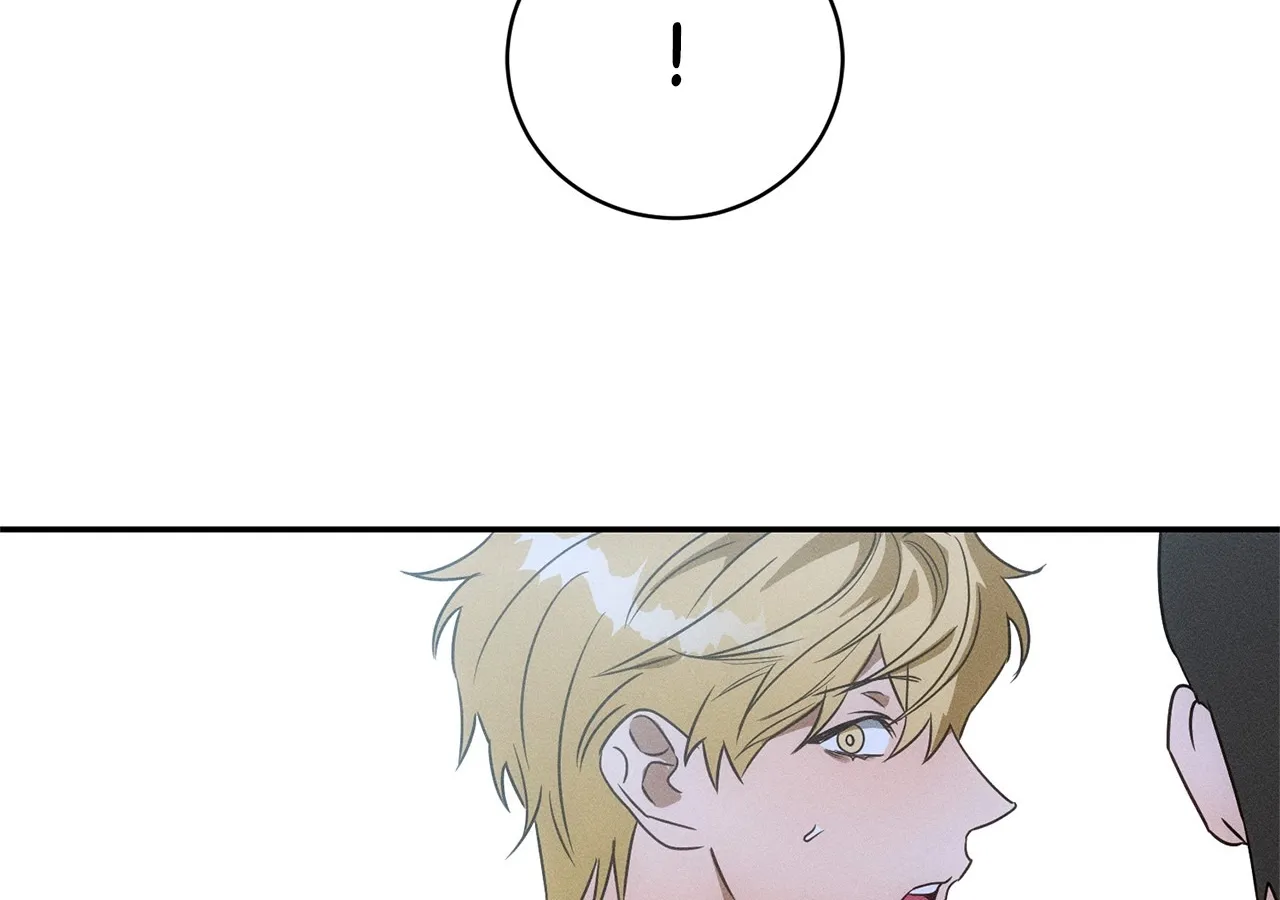 The Light I Give You Chapter 25 page 147 - 