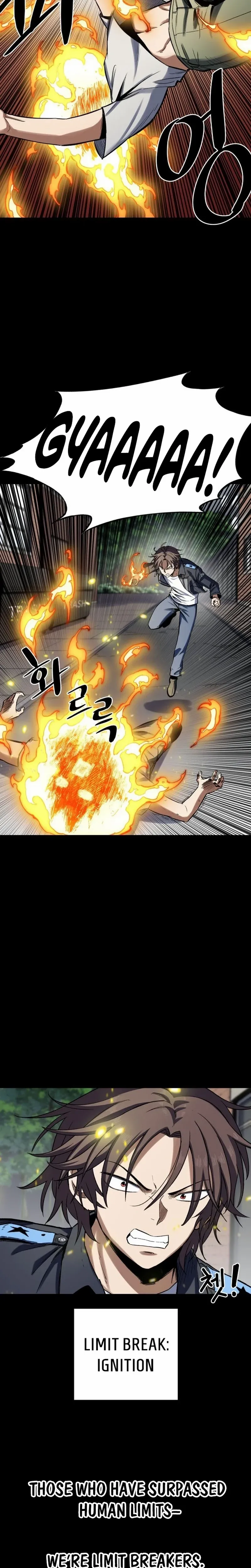 The Limit-Breaking Partner Chapter 1 page 12 - 