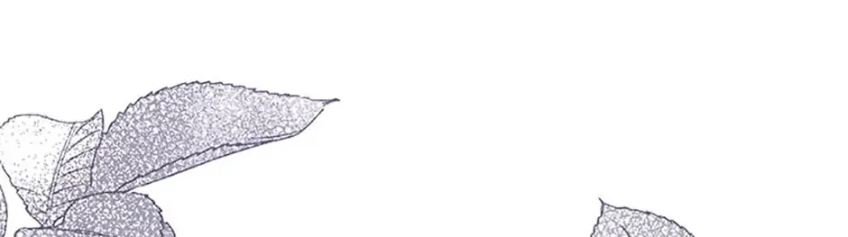 The Little Princess Waits for the Breakup Chapter 10 page 62 - 