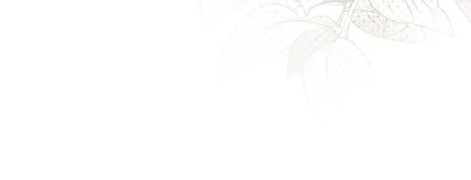 The Little Princess Waits for the Breakup Chapter 29 page 54 - 