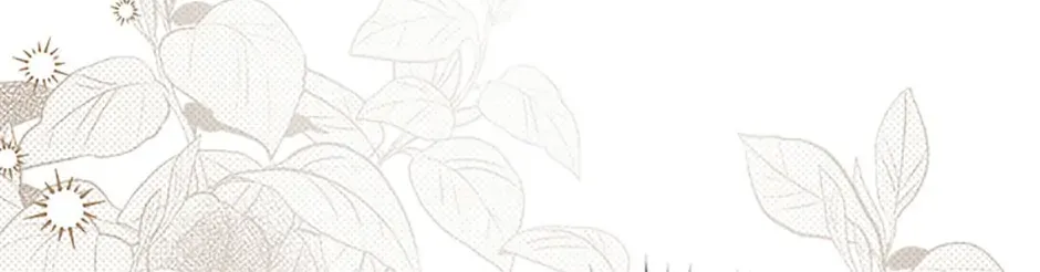 The Little Princess Waits for the Breakup Chapter 46 page 61 - 