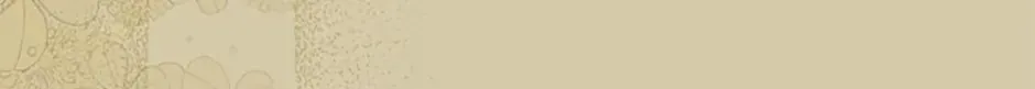 The Little Princess Waits for the Breakup Chapter 47 page 80 - 