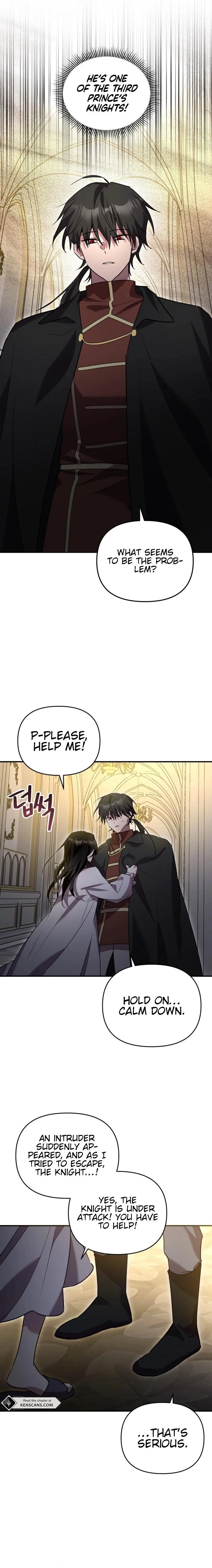 The Lone Guide Chapter 25 page 17 - 