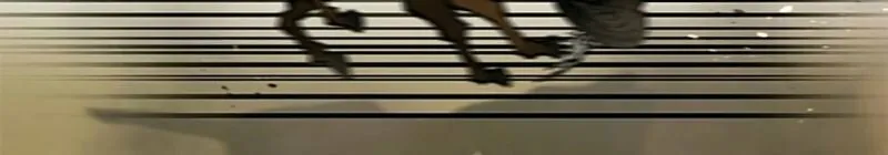 The Long Way of the Warrior Chapter 115 page 77 - 