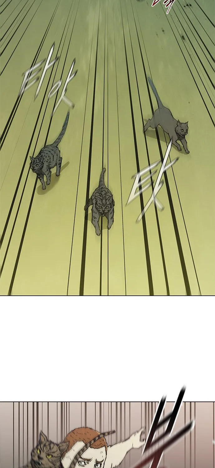 The Long Way of the Warrior Chapter 74 page 49 - 