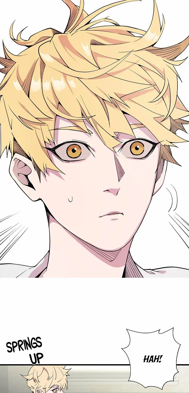 The Lord of Coins Chapter 0 page 49 - 