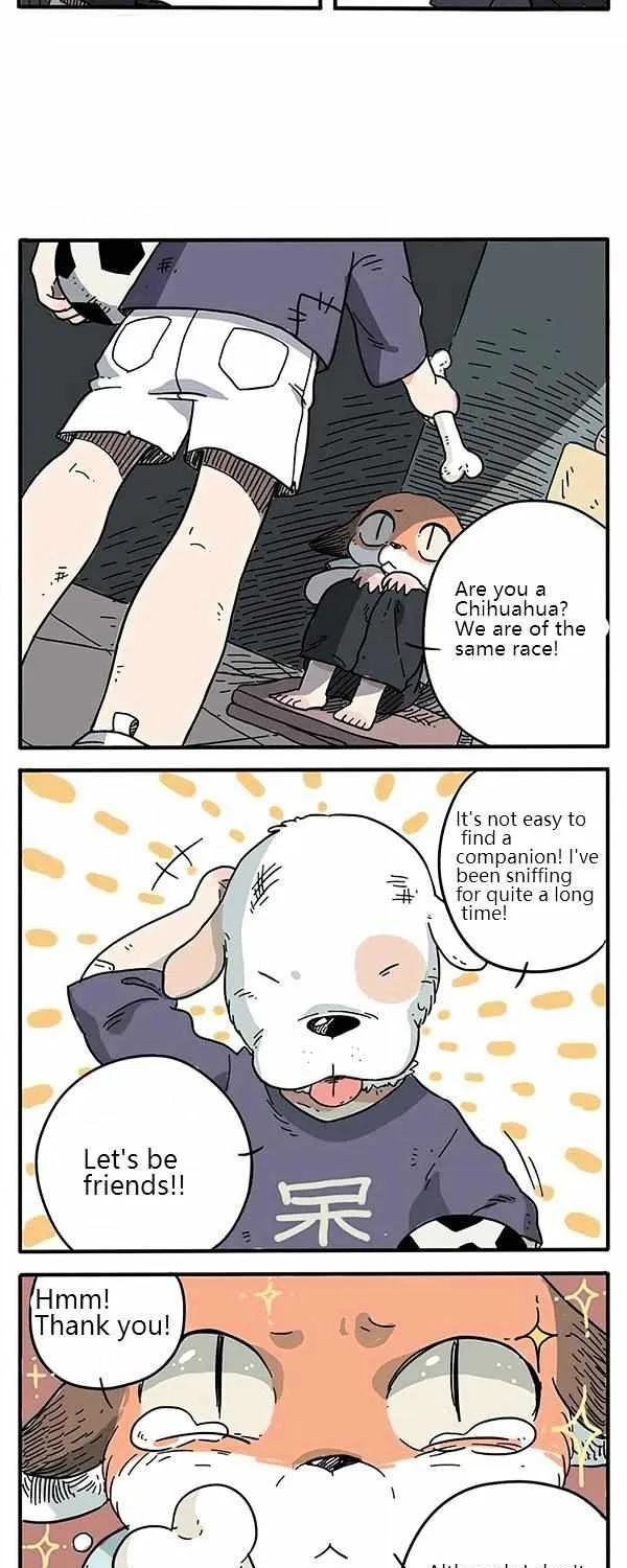 The Loser-fox orange Chapter 1 page 5 - 