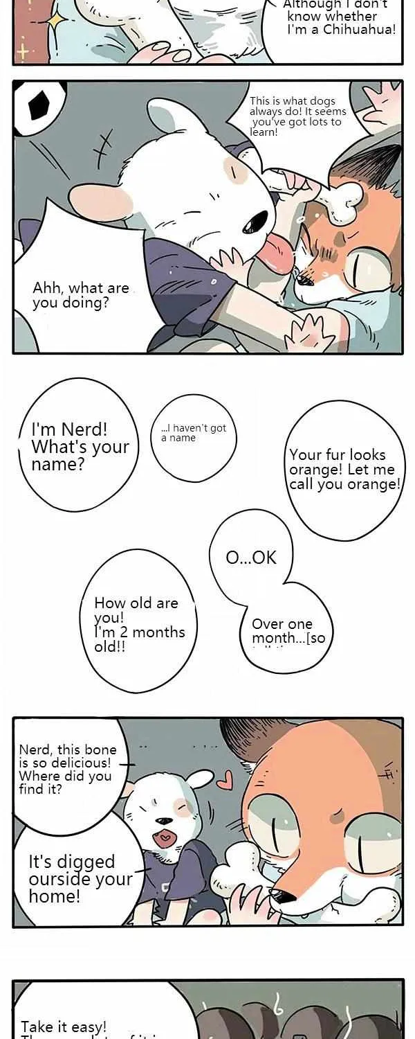 The Loser-fox orange Chapter 1 page 6 - 