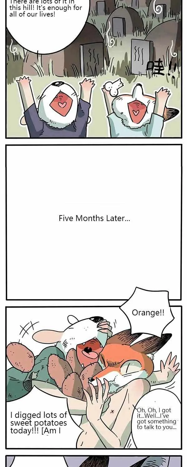 The Loser-fox orange Chapter 1 page 7 - 
