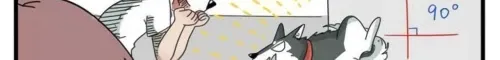 The Loser-fox orange Chapter 10 page 12 - 