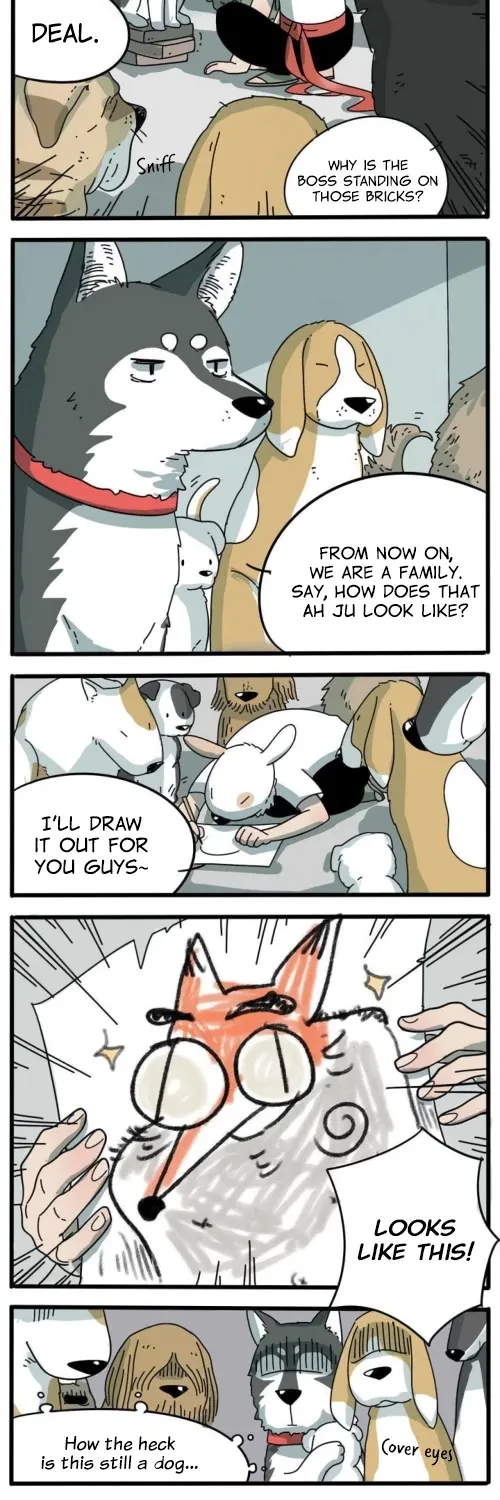The Loser-fox orange Chapter 10 page 15 - 