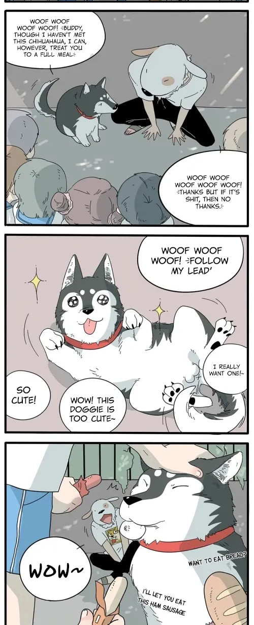 The Loser-fox orange Chapter 10 page 4 - 