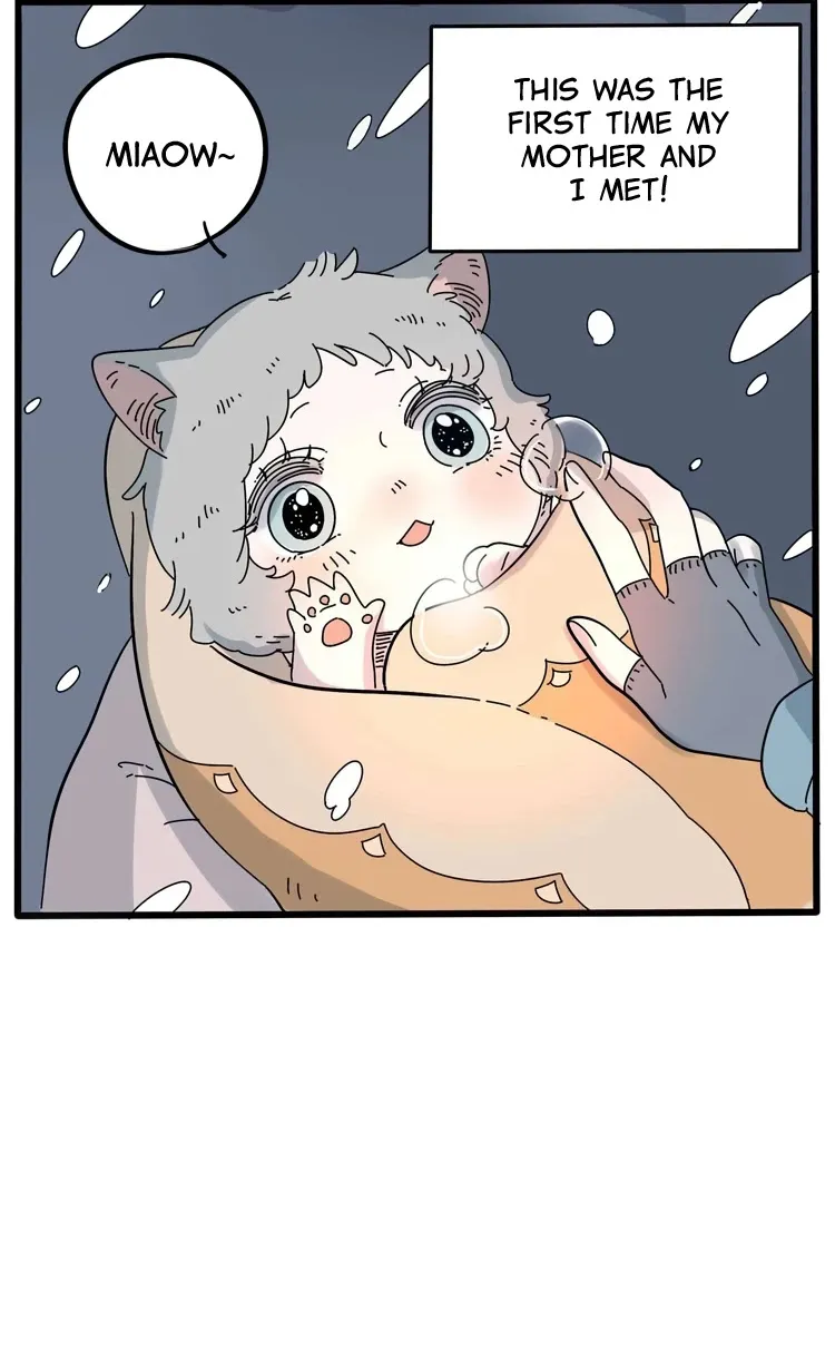 The Loser-fox orange Chapter 13.5 page 20 - 
