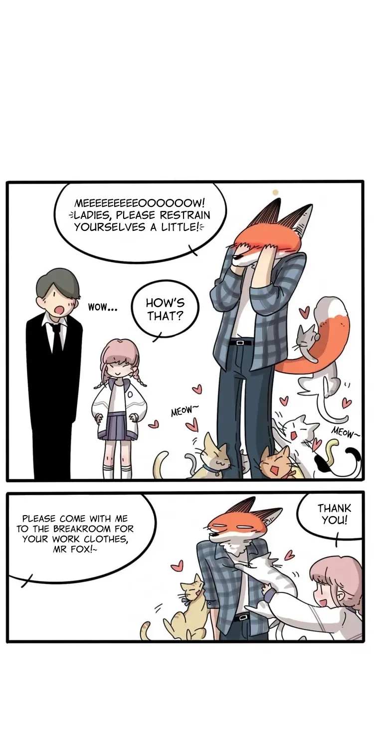 The Loser-fox orange Chapter 13 page 5 - 