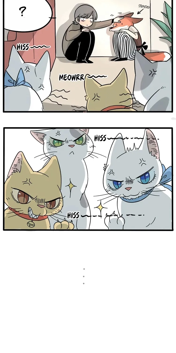 The Loser-fox orange Chapter 14 page 11 - 