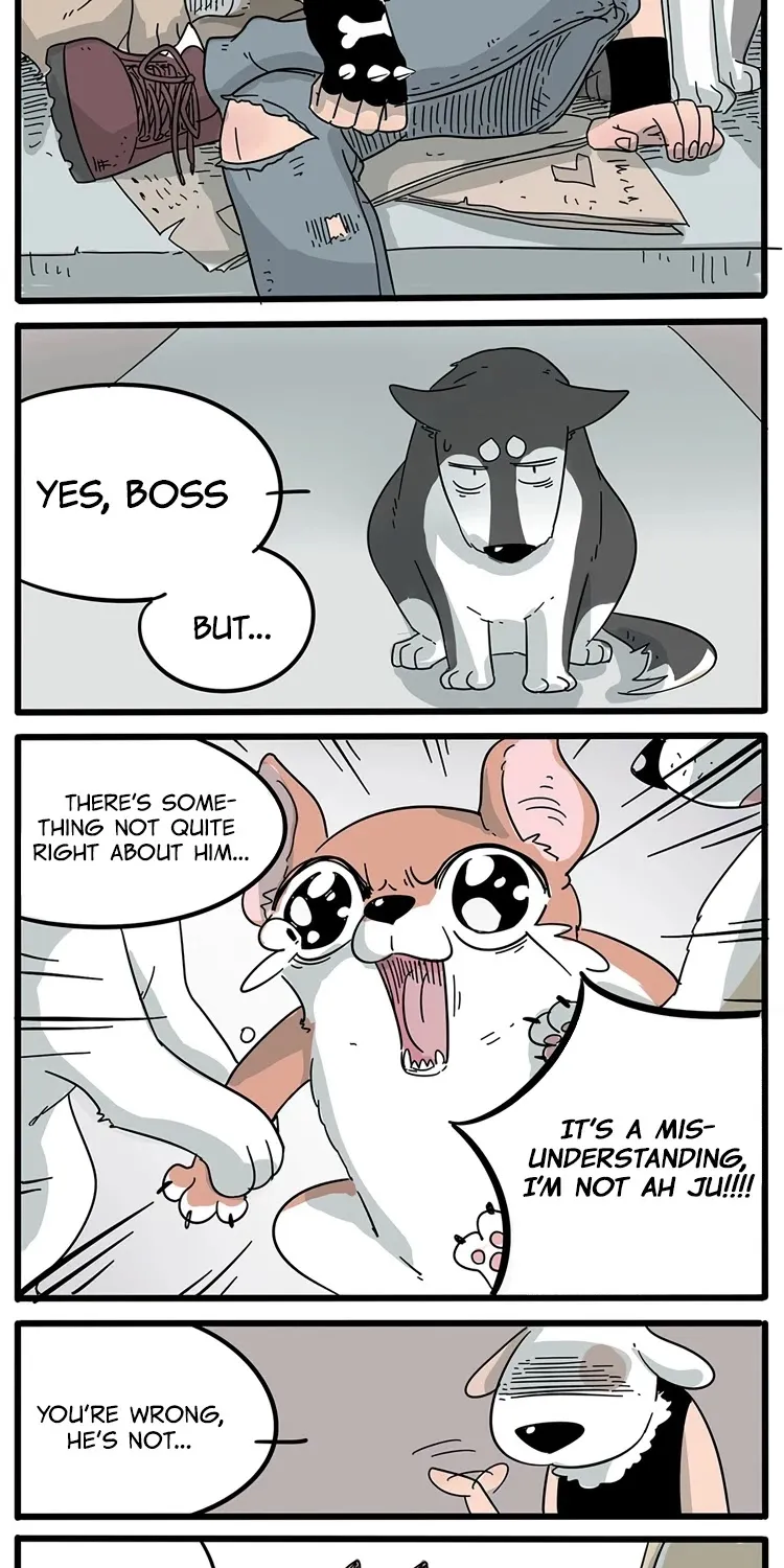 The Loser-fox orange Chapter 15 page 3 - 