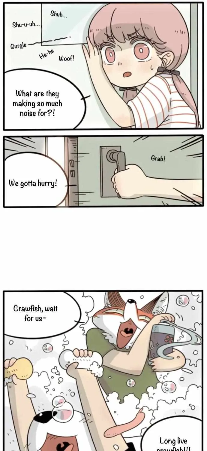 The Loser-fox orange Chapter 17 page 22 - 