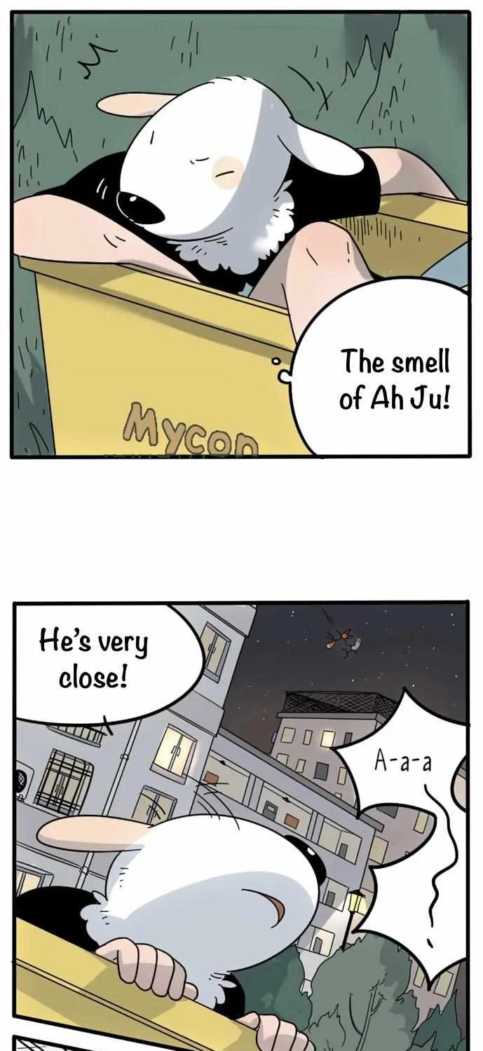 The Loser-fox orange Chapter 19 page 16 - 