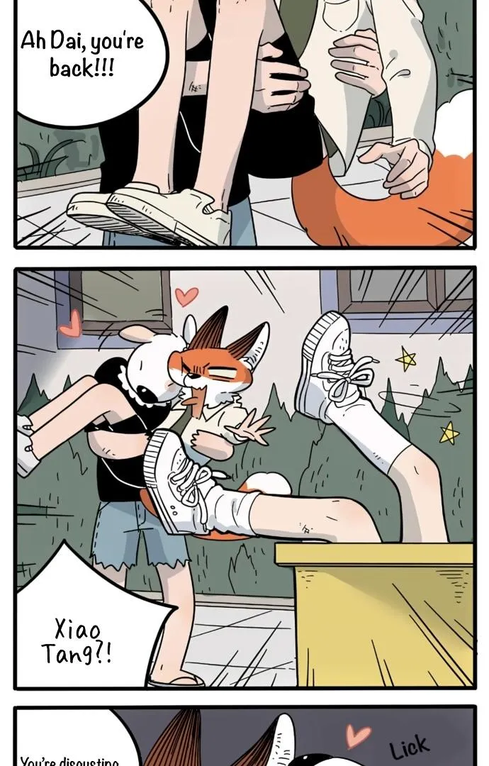 The Loser-fox orange Chapter 19 page 19 - 