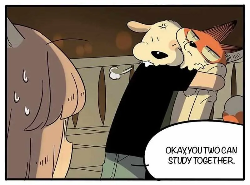 The Loser-fox orange Chapter 20 page 19 - 