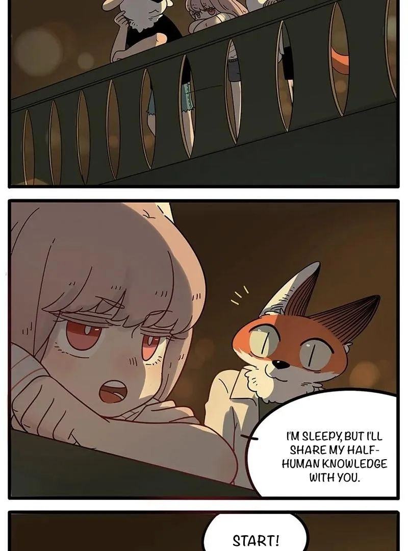 The Loser-fox orange Chapter 20 page 4 - 