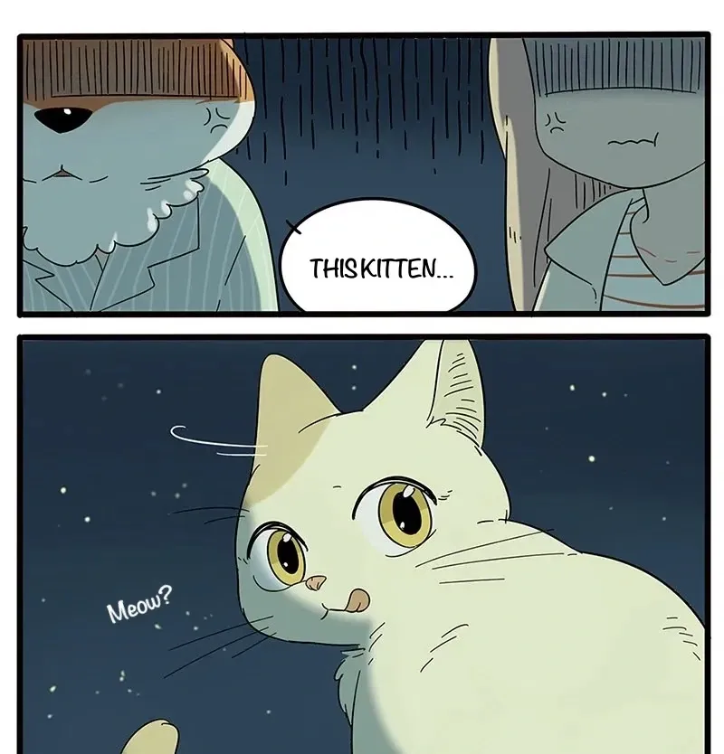The Loser-fox orange Chapter 21 page 34 - 