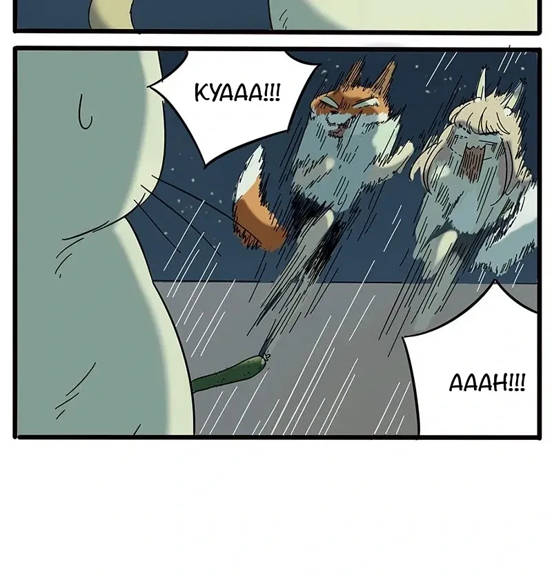 The Loser-fox orange Chapter 21 page 35 - 