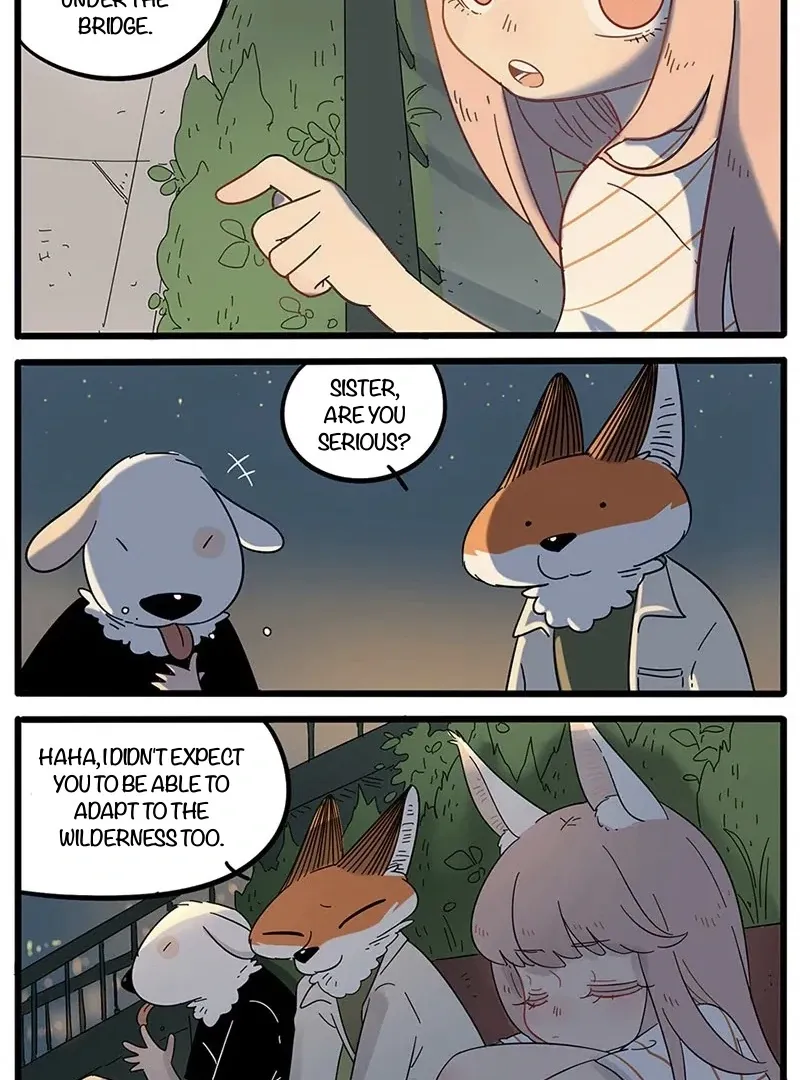 The Loser-fox orange Chapter 21 page 5 - 