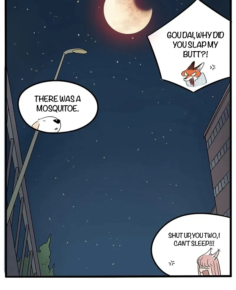 The Loser-fox orange Chapter 21 page 42 - 