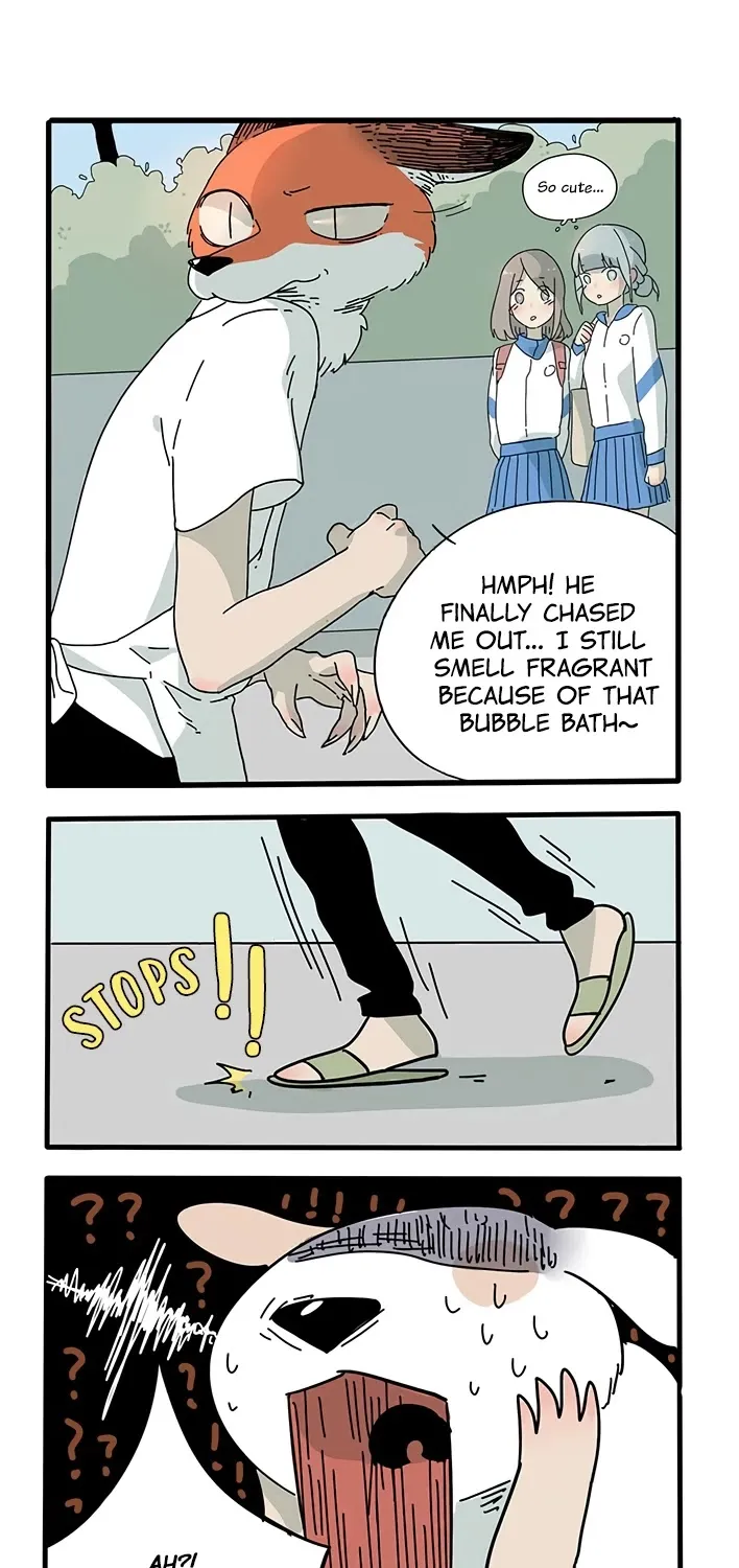 The Loser-fox orange Chapter 4 page 15 - 