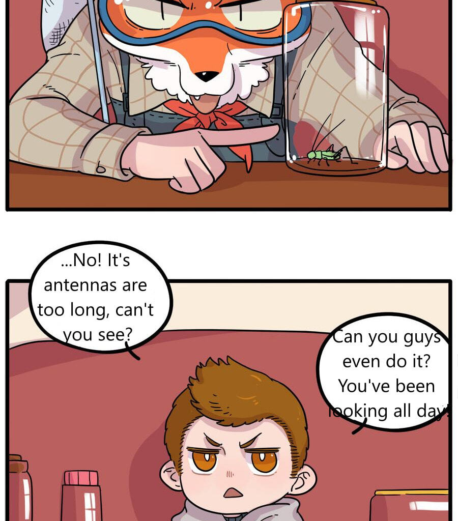 The Loser-fox orange Chapter 42.1 page 5 - 