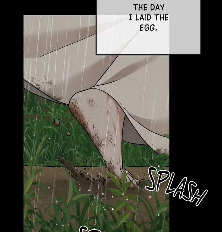 The Lotus and the Lost Chapter 23 page 44 - 