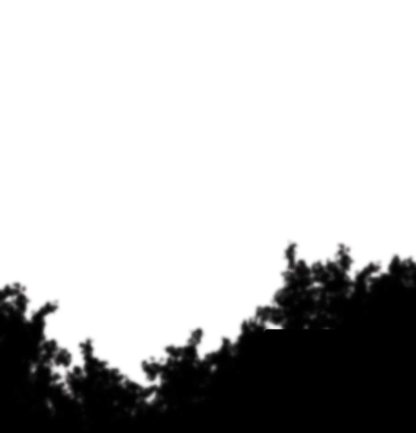 The Lotus and the Lost Chapter 3 page 1 - 