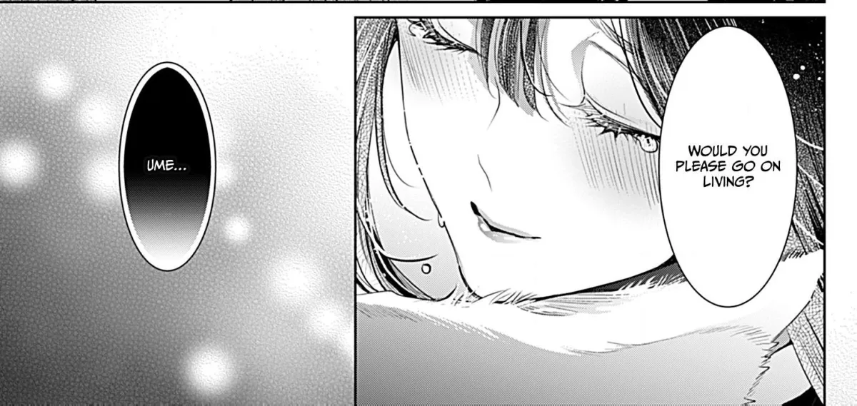 The Lying Moon Princess