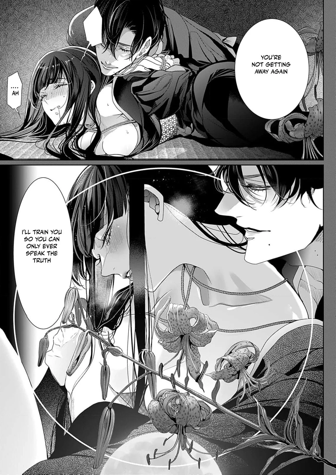 The Lying Moon Princess