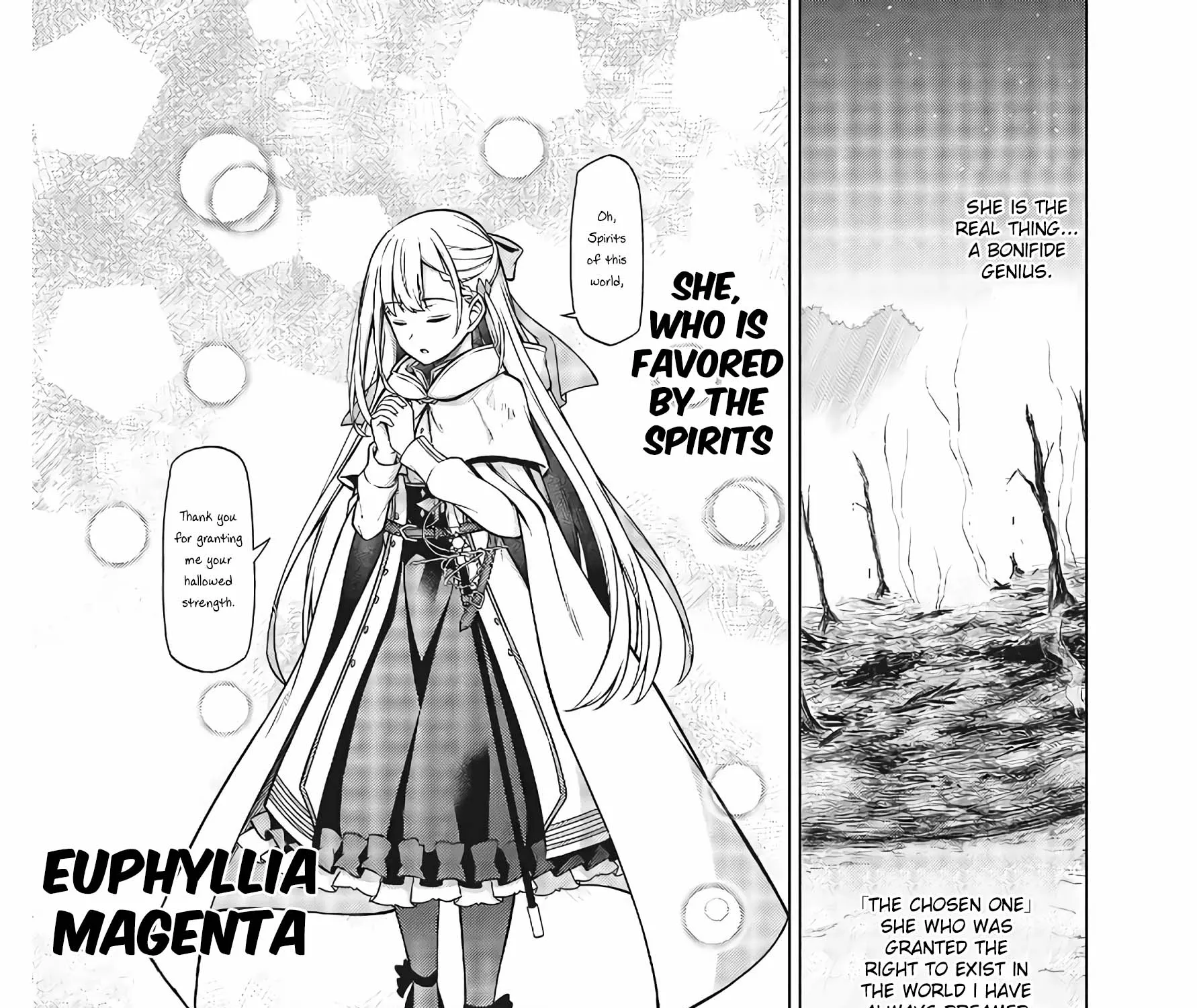 The Magical Revolution of the Reincarnated Princess and the Genius Young Lady Chapter 11.2 page 13 - 
