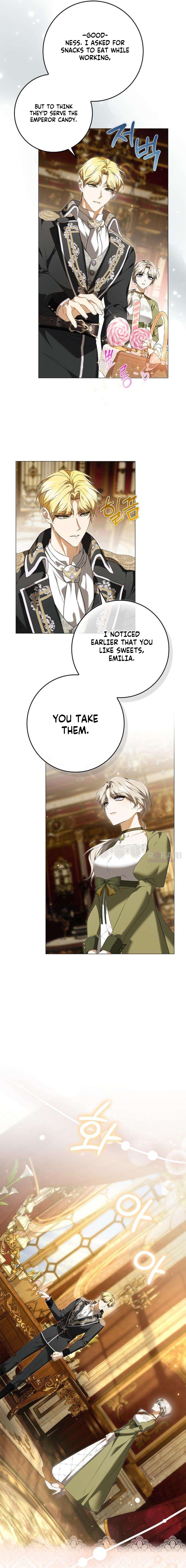 The Maid Gets on the Emperor’s Nerves Chapter 11 page 3 - 