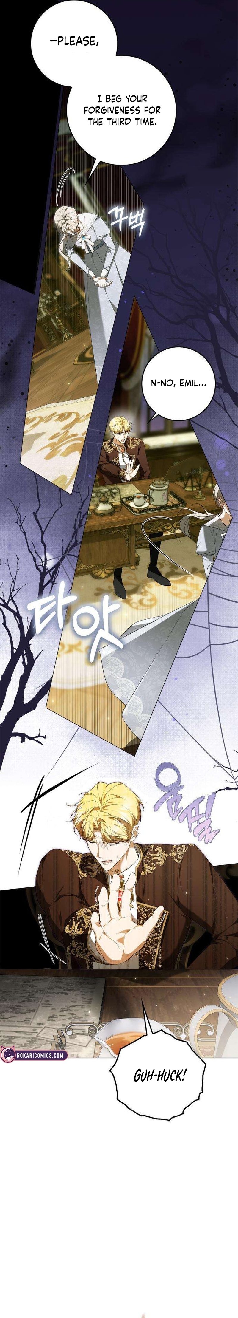 The Maid Gets on the Emperor’s Nerves Chapter 17 page 26 - 