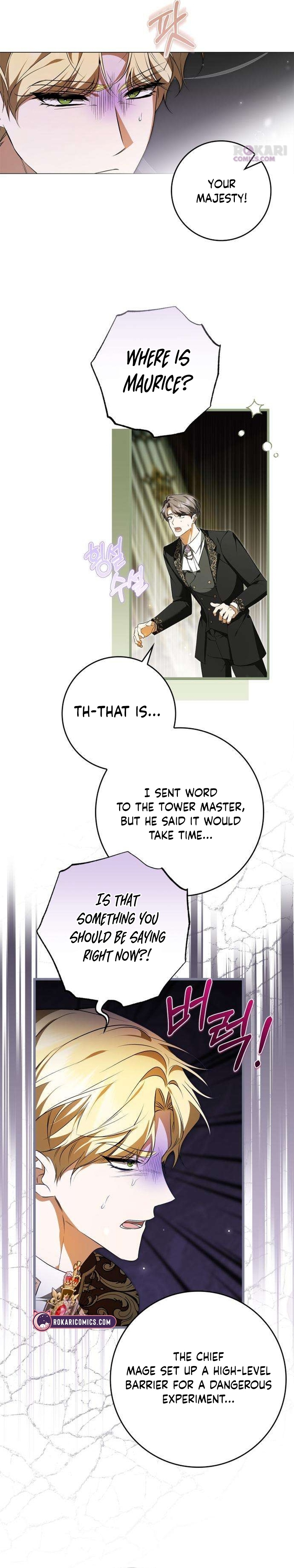 The Maid Gets on the Emperor’s Nerves Chapter 17 page 27 - 