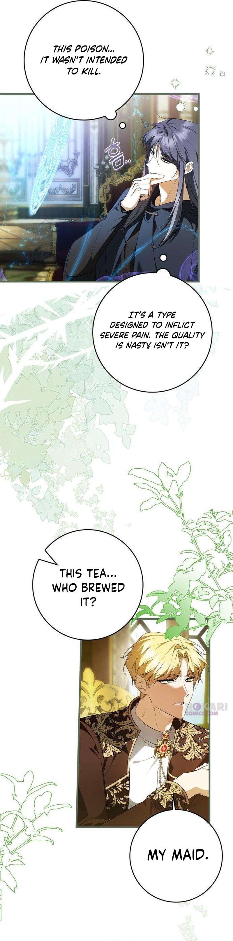 The Maid Gets on the Emperor’s Nerves Chapter 18 page 11 - 