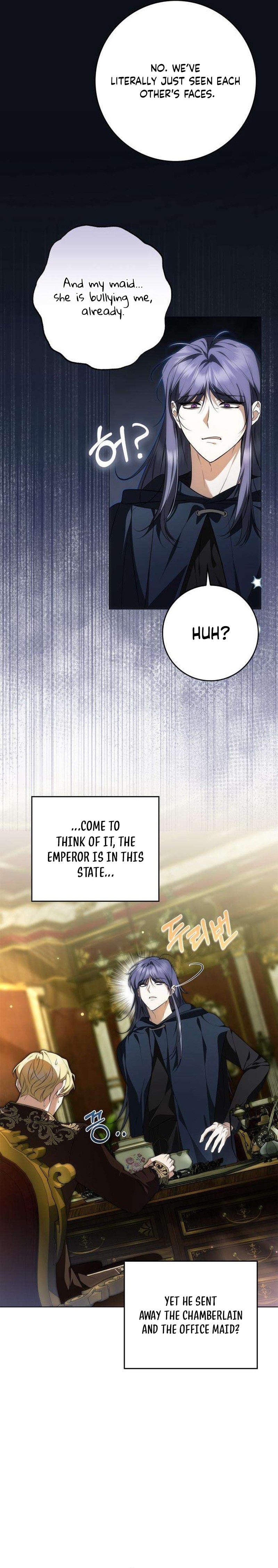 The Maid Gets on the Emperor’s Nerves Chapter 18 page 3 - 